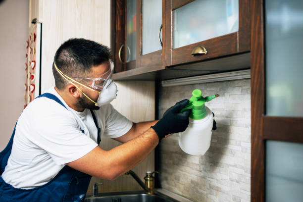 Best Local Pest Control Services  in Aetna Estates, CO