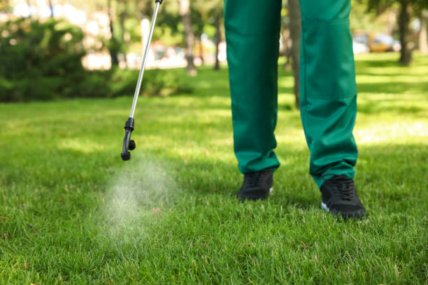 Best Wildlife Control Services  in Aetna Estates, CO
