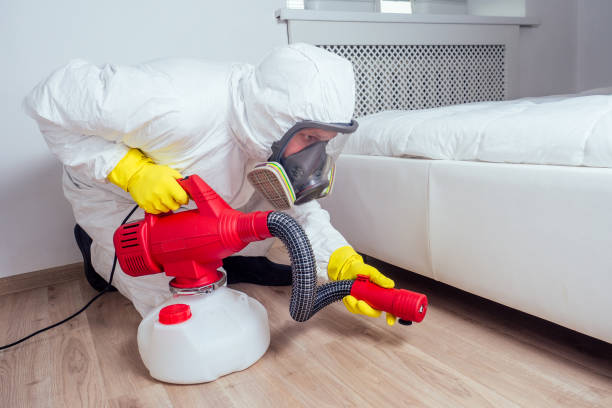 Best Insect Control  in Aetna Estates, CO