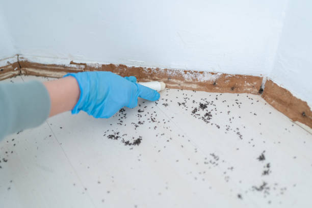 Best Pest Removal Services  in Aetna Estates, CO